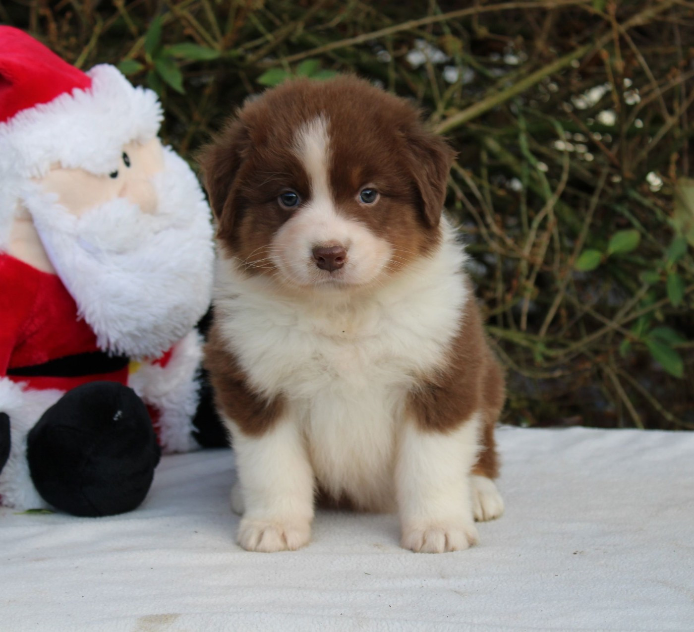 Uno only me De Sol Del Norte