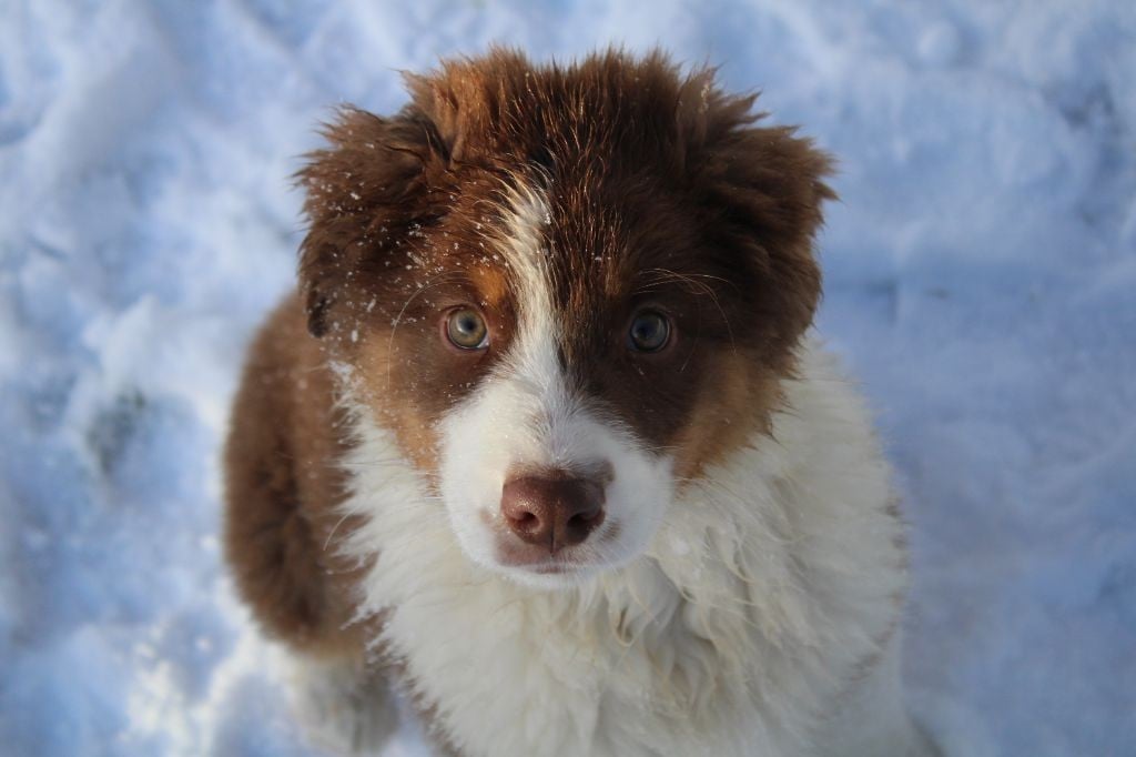 Uno only me De Sol Del Norte