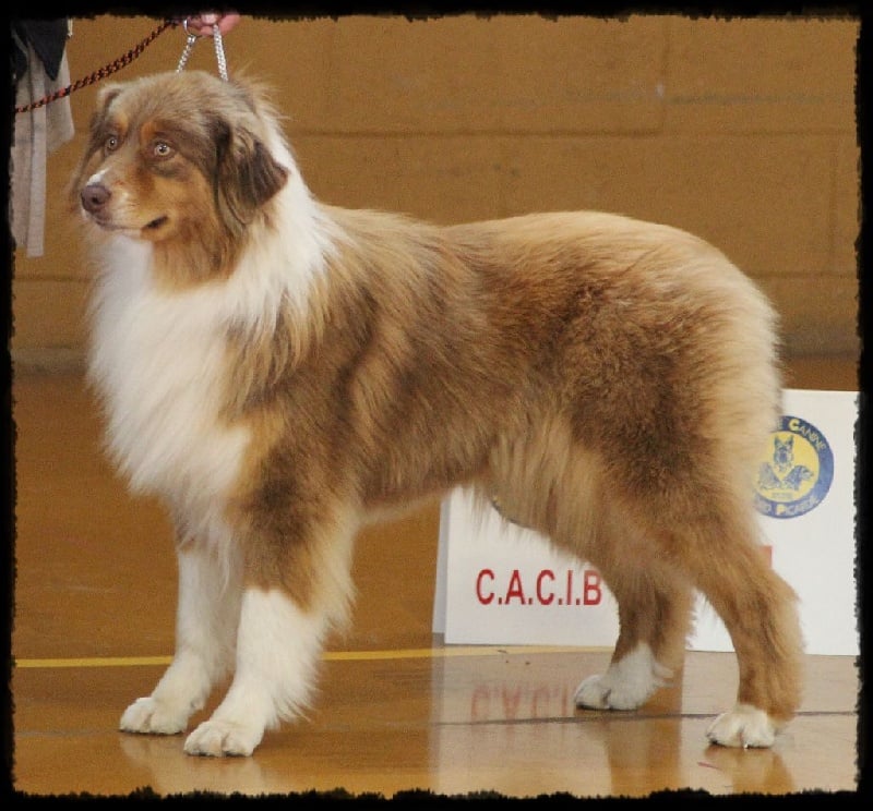 Iliona Du Tipi Farfelu - Très bon