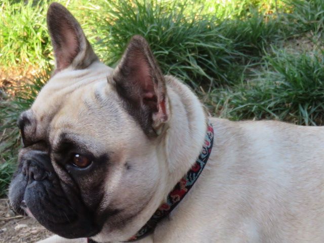 Loulotte The Story Of My Life