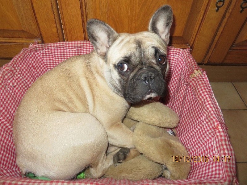 Loulotte The Story Of My Life