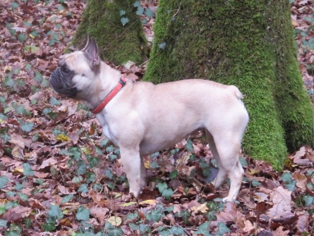 Loulotte The Story Of My Life