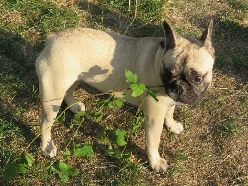 Loulotte The Story Of My Life