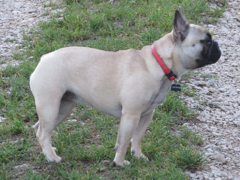 Loulotte The Story Of My Life