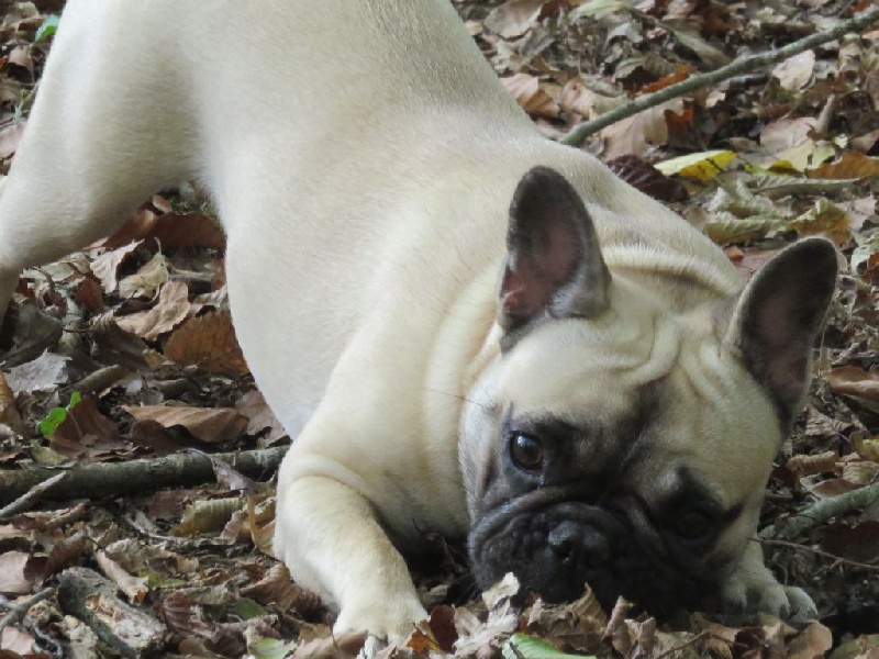 Loulotte The Story Of My Life