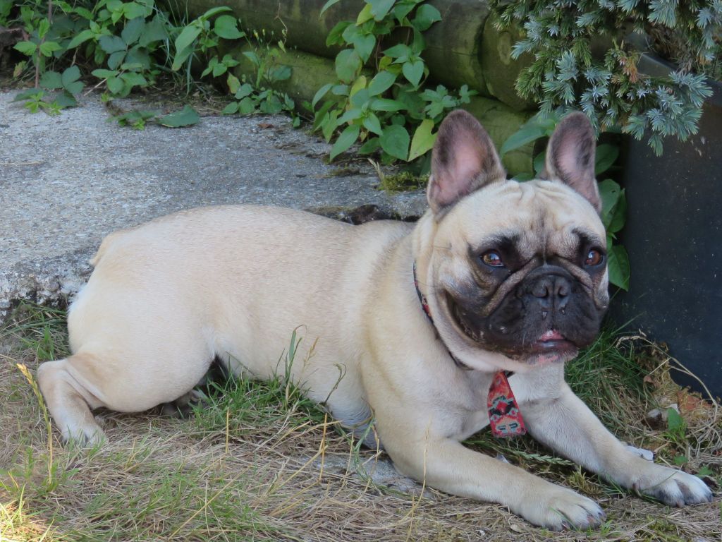 Loulotte The Story Of My Life