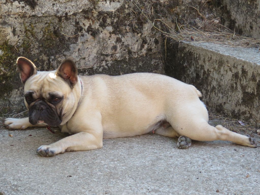 Loulotte The Story Of My Life