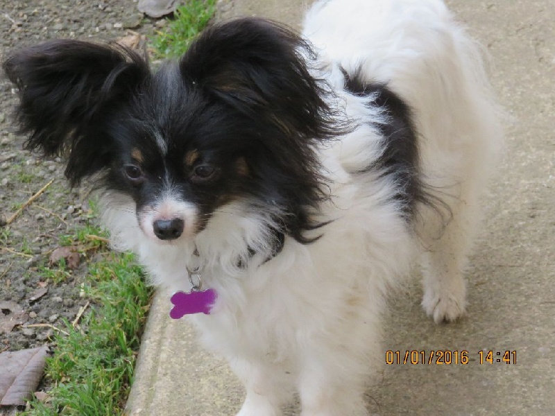 Isaure Des Douces Alsace