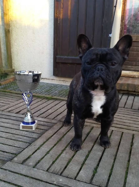 James Du domaine de liana - 2ème EXCELLENT - classe intermédiaire + RCACS