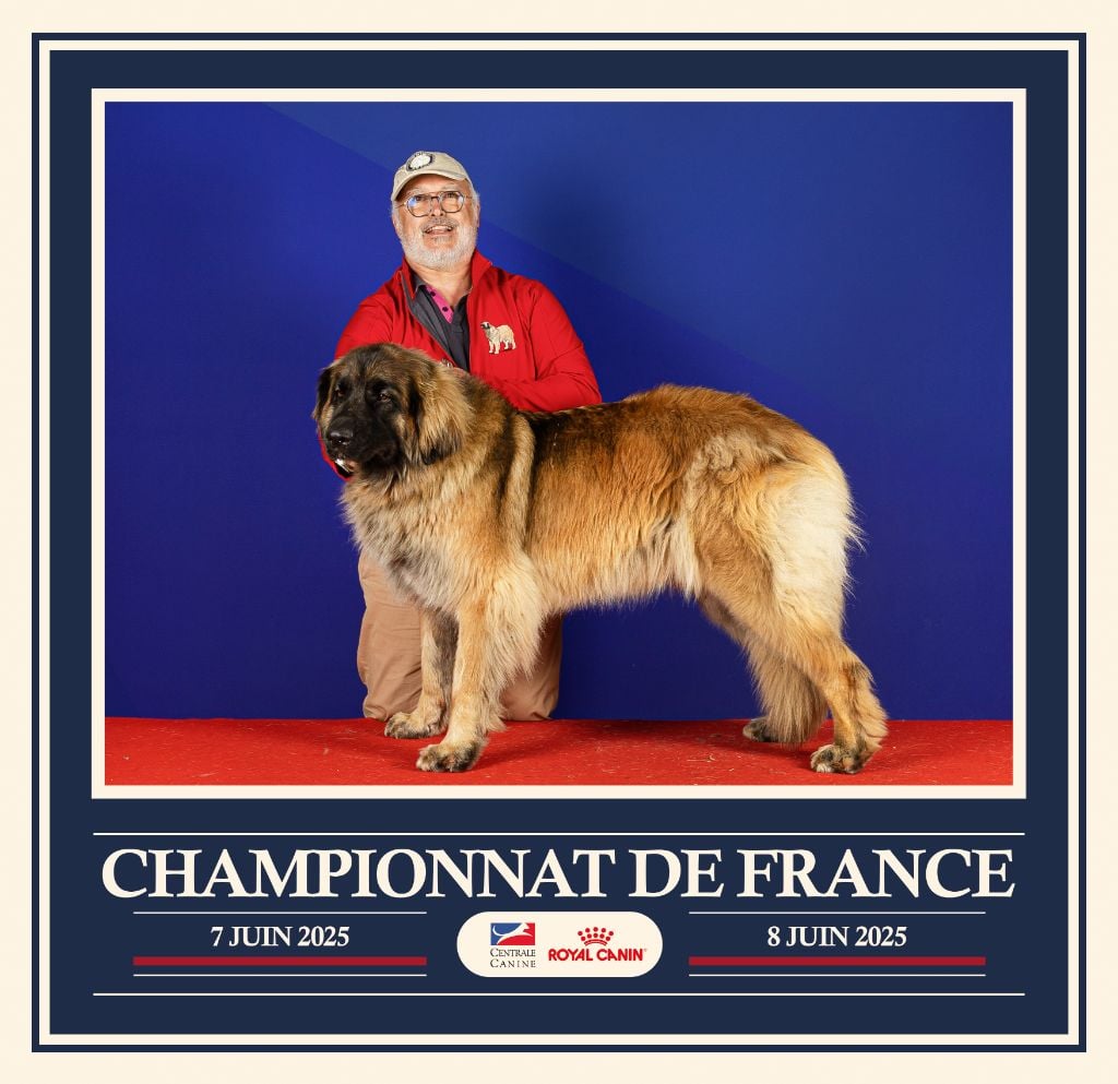 Publication : du domaine de la noyaraye