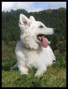 Publication : Vent des lacs