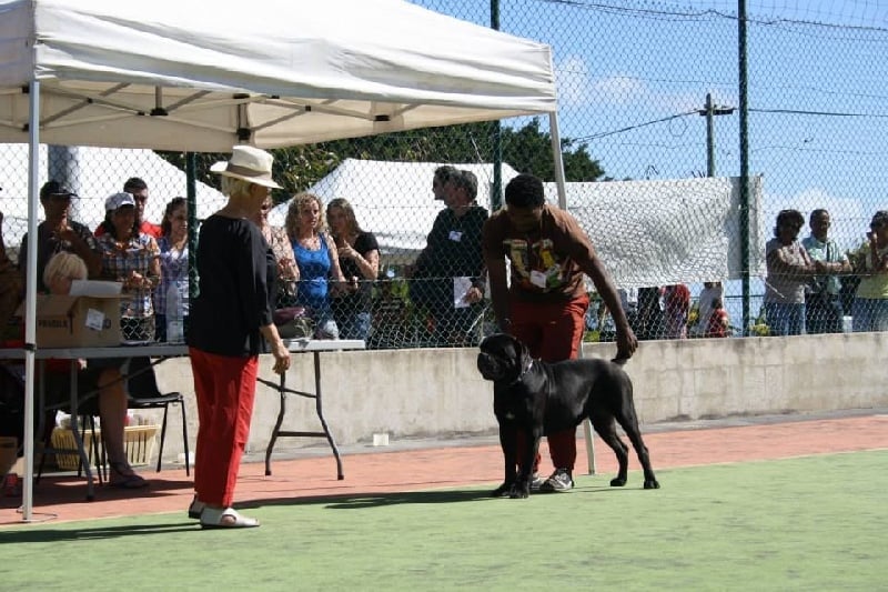 Publication : Des Gardiens De L'Ile Metisse Auteur : Eddy Payet