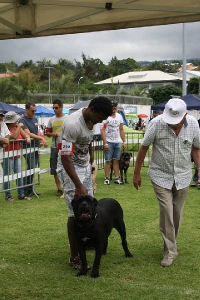 Publication : Des Gardiens De L'Ile Metisse Auteur : Eddy Payet
