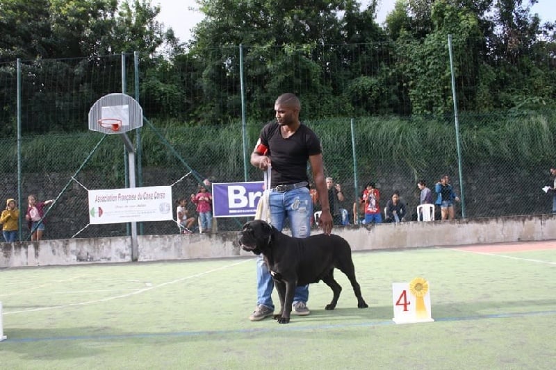 Publication : Des Gardiens De L'Ile Metisse Auteur : Eddy Payet