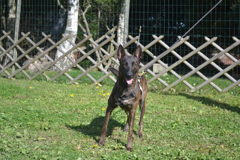 Publication : du Domaine De Sleipnir