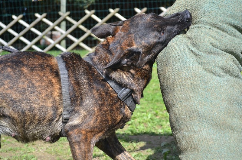 Publication : du Domaine De Sleipnir