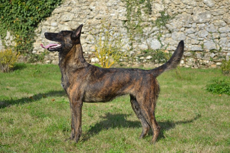 Publication : du Domaine De Sleipnir