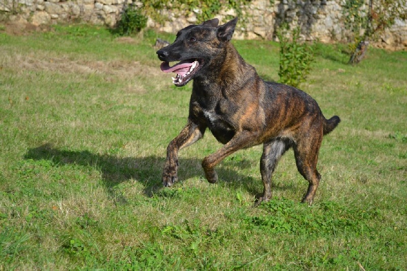 Publication : du Domaine De Sleipnir