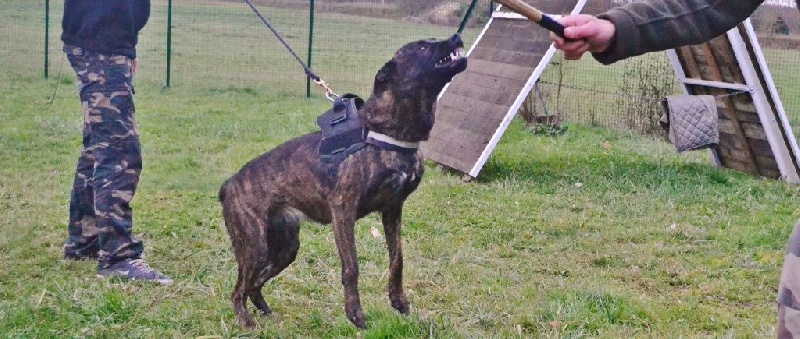 Publication : du Domaine De Sleipnir