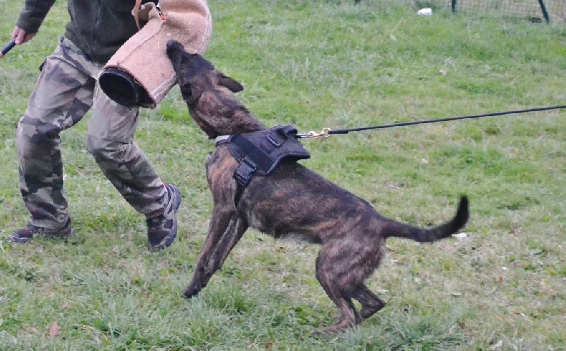 Publication : du Domaine De Sleipnir