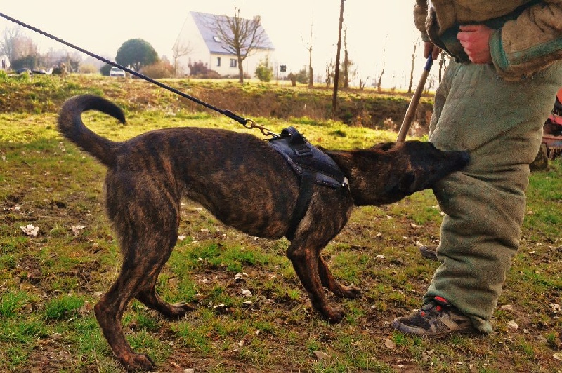 Publication : du Domaine De Sleipnir