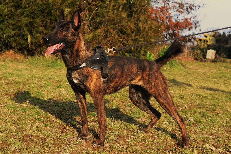 Publication : du Domaine De Sleipnir