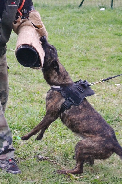 Publication : du Domaine De Sleipnir