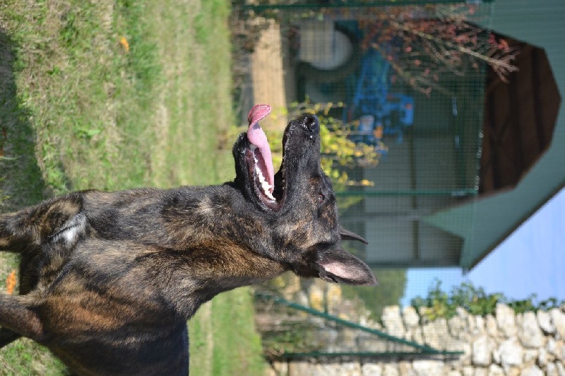 Publication : du Domaine De Sleipnir