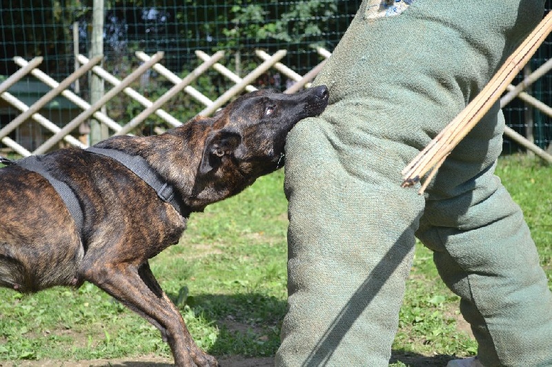 Publication : du Domaine De Sleipnir