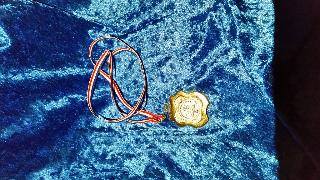 CH. Obayatelnyy myagkost shokolad Des Hibiscus D'Azur - Classe Puppy : Très Prometteur