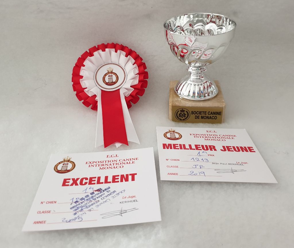 CH. Obayatelnyy myagkost shokolad Des Hibiscus D'Azur - Classe Jeune : 1er Exc - Meilleur Jeune