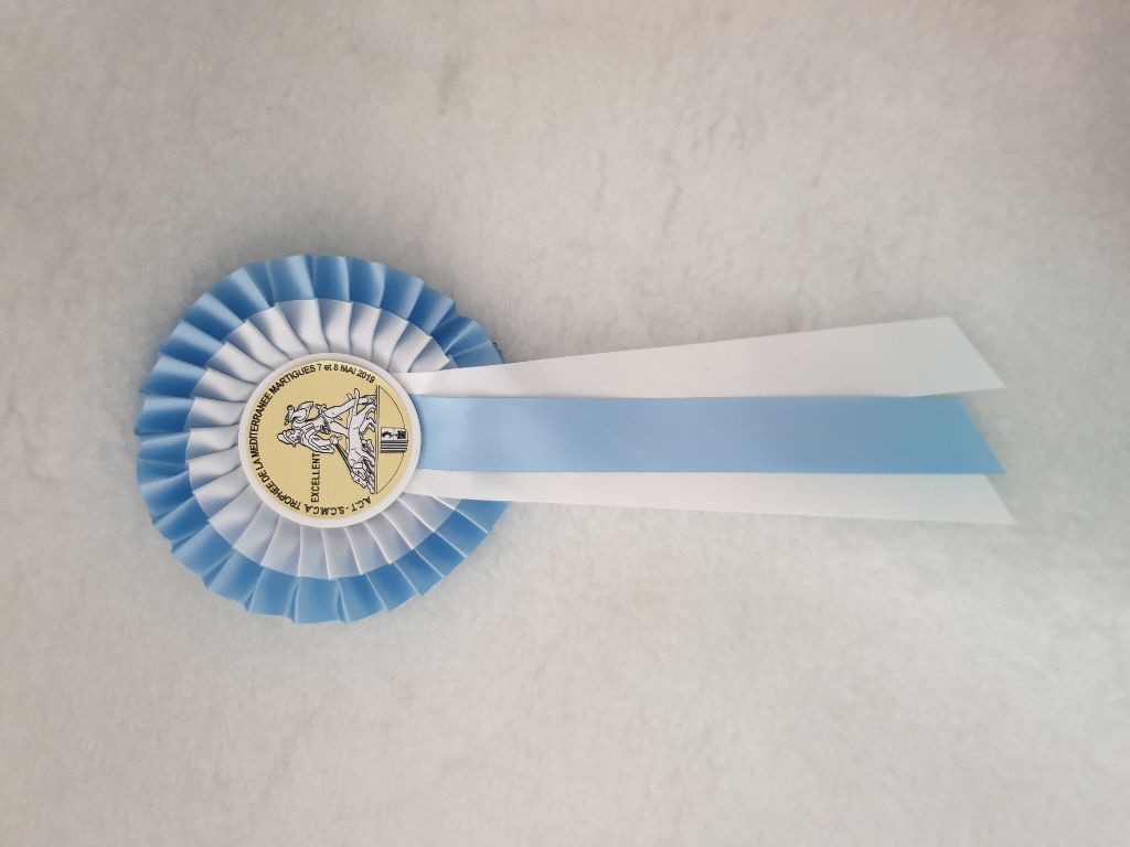 CH. Obayatelnyy myagkost shokolad Des Hibiscus D'Azur - Classe Jeune :1er excellent