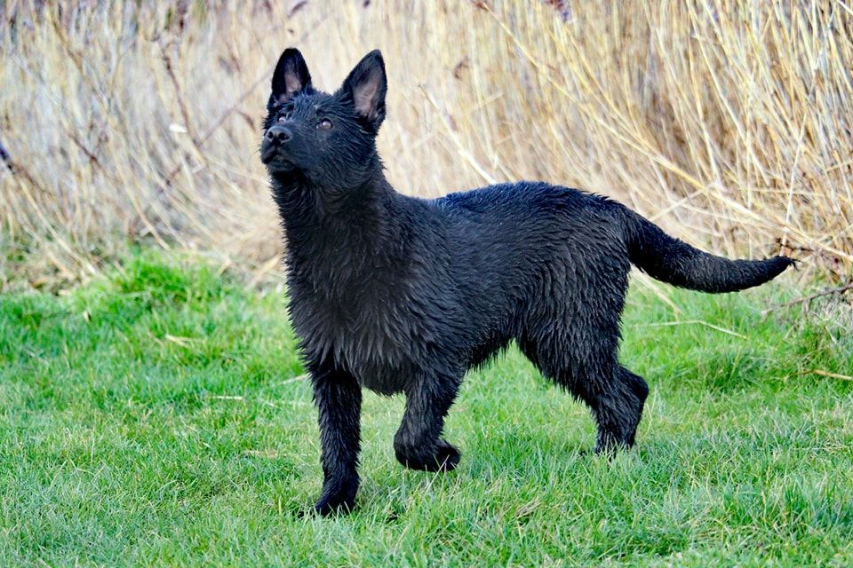 Publication : De L'Odyssée D'Hèra