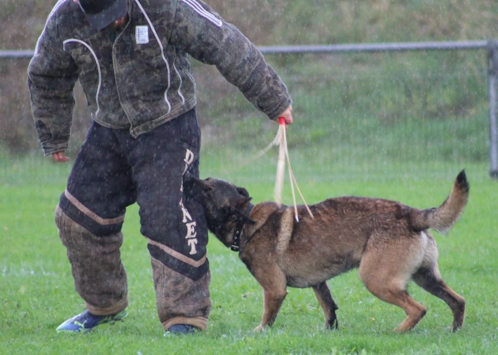 Uruk-haï De L'Odyssée D'Hèra