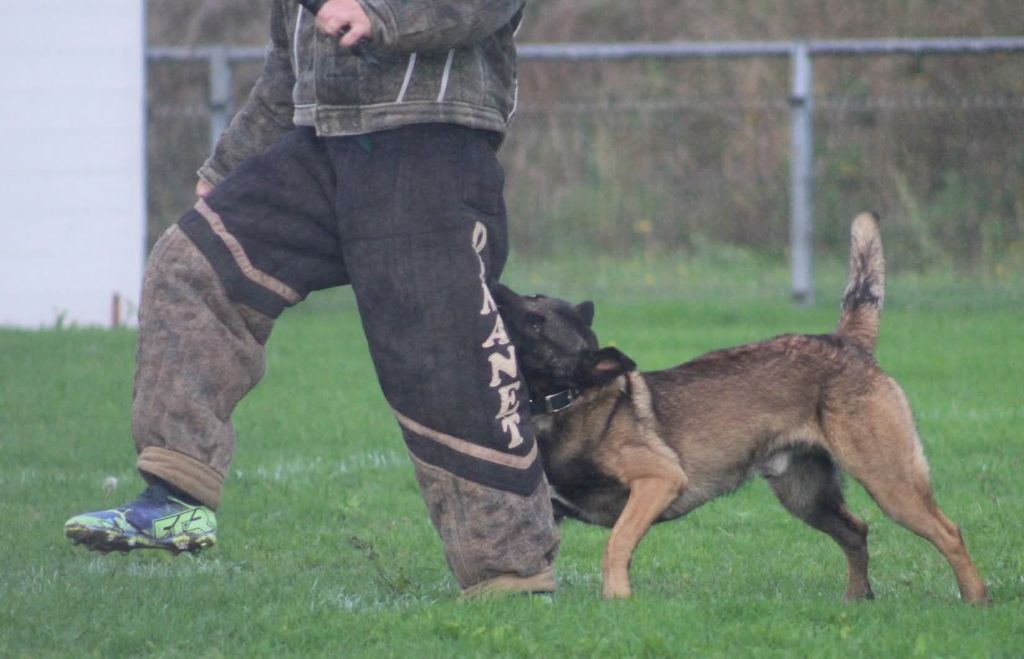 Uruk-haï De L'Odyssée D'Hèra