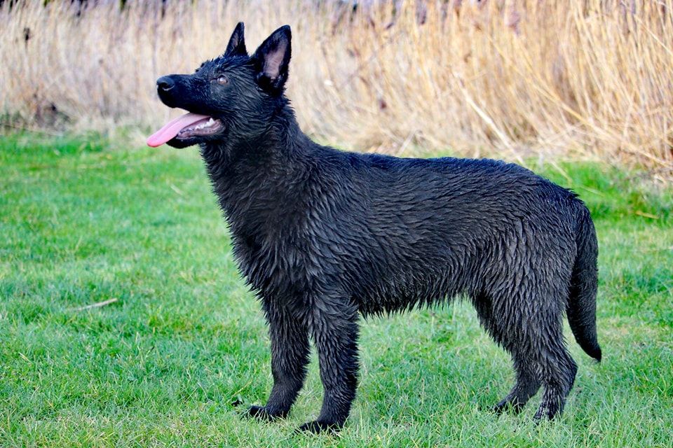 Publication : De L'Odyssée D'Hèra