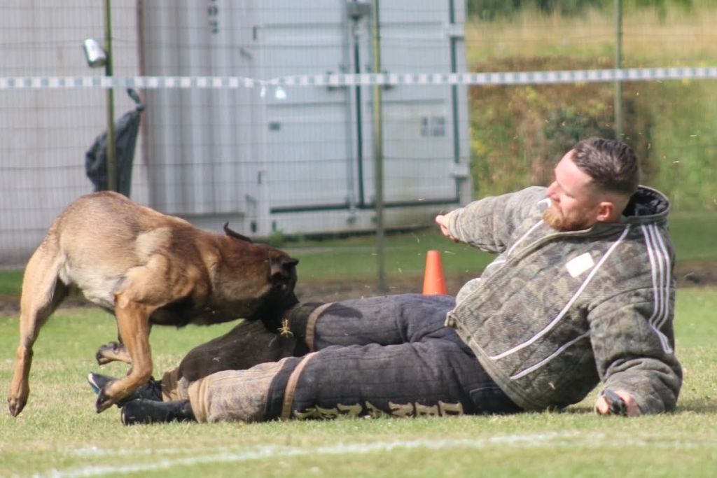 Uruk-haï De L'Odyssée D'Hèra