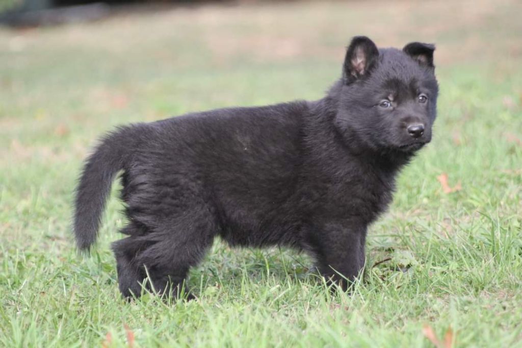 Publication : De L'Odyssée D'Hèra