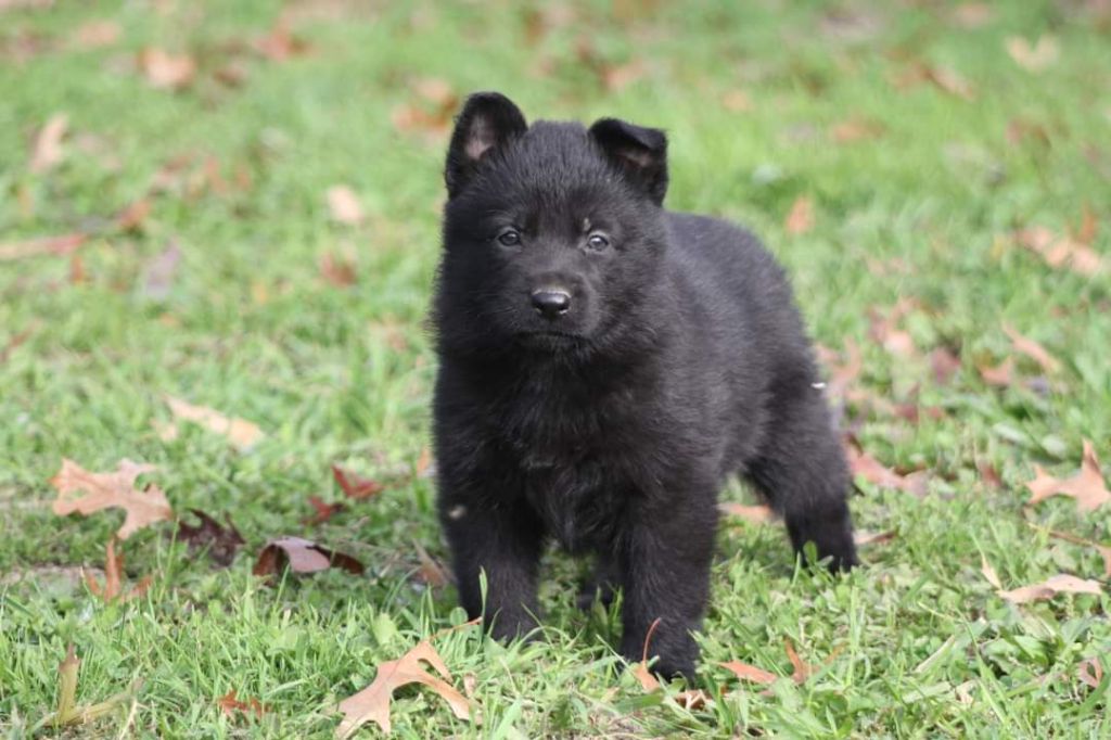 Publication : De L'Odyssée D'Hèra