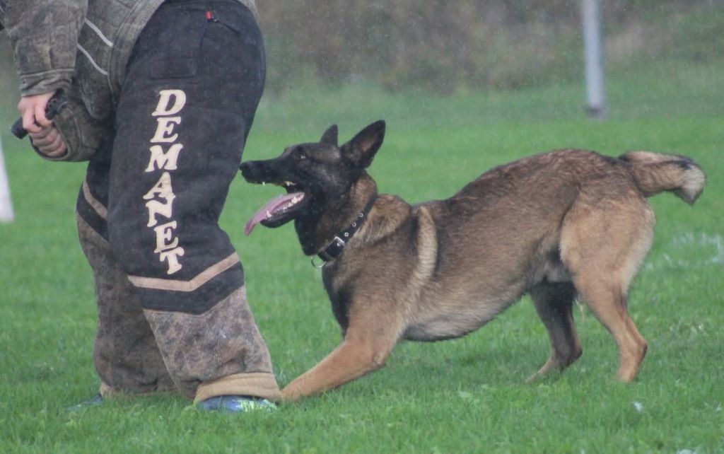 Uruk-haï De L'Odyssée D'Hèra