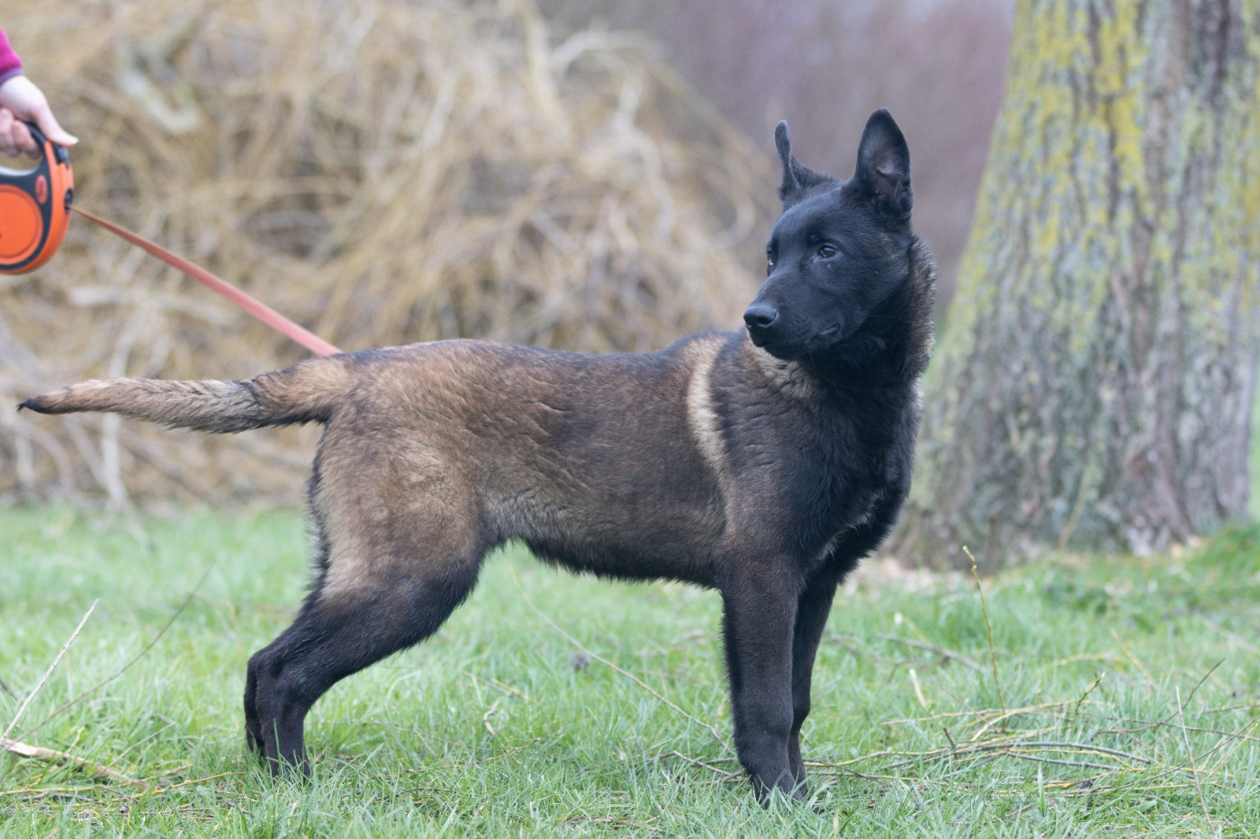 Aary Potter De L'Odyssée D'Hèra