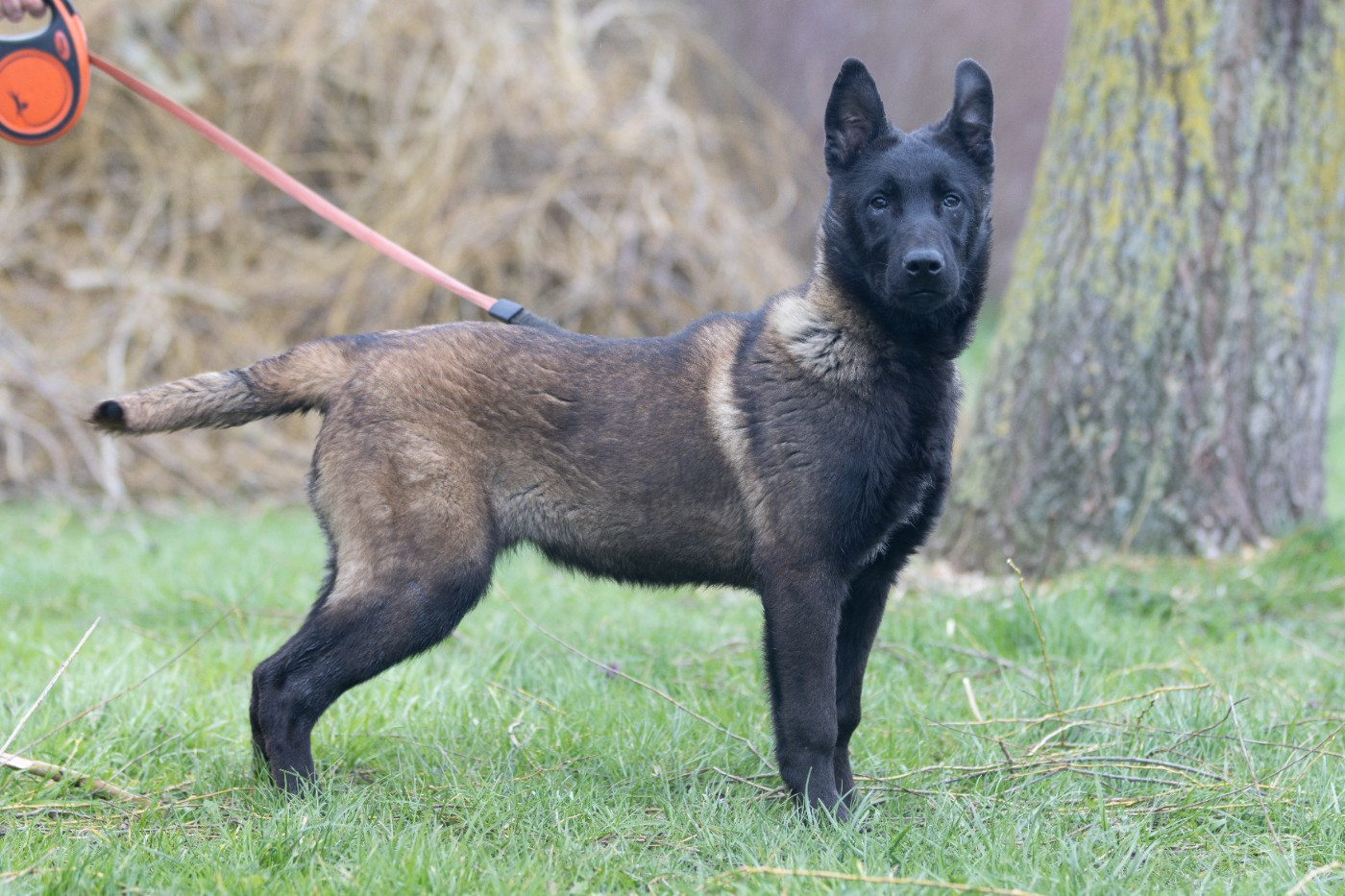 Aary Potter De L'Odyssée D'Hèra