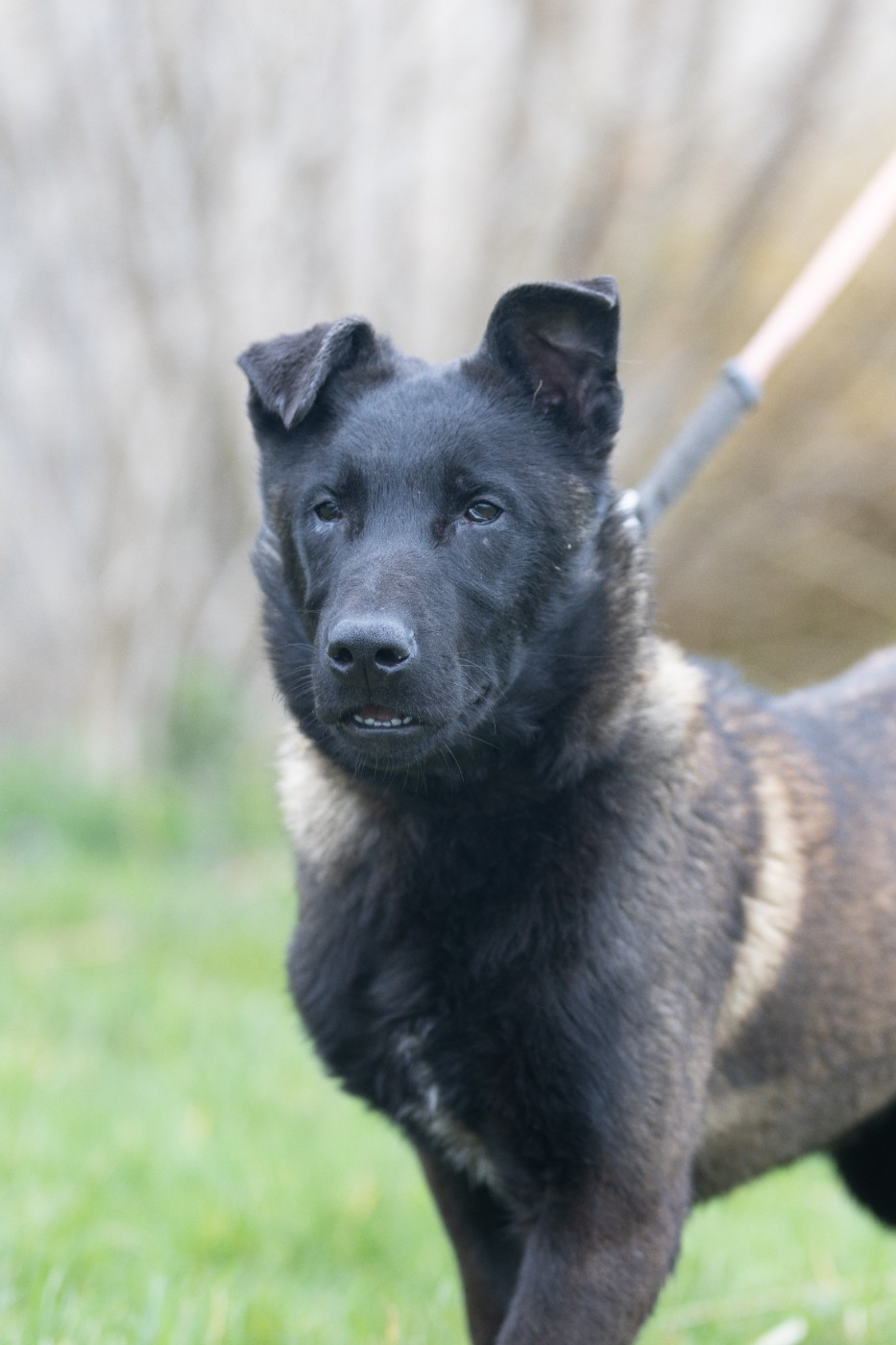 Aary Potter De L'Odyssée D'Hèra