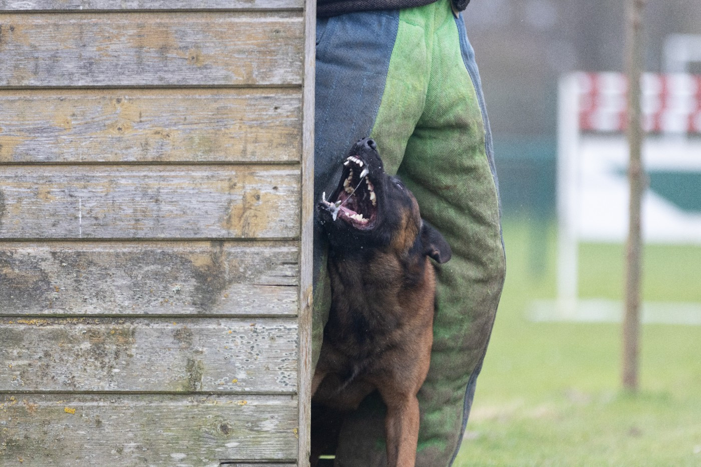 Sheythan De L'Odyssée D'Hèra