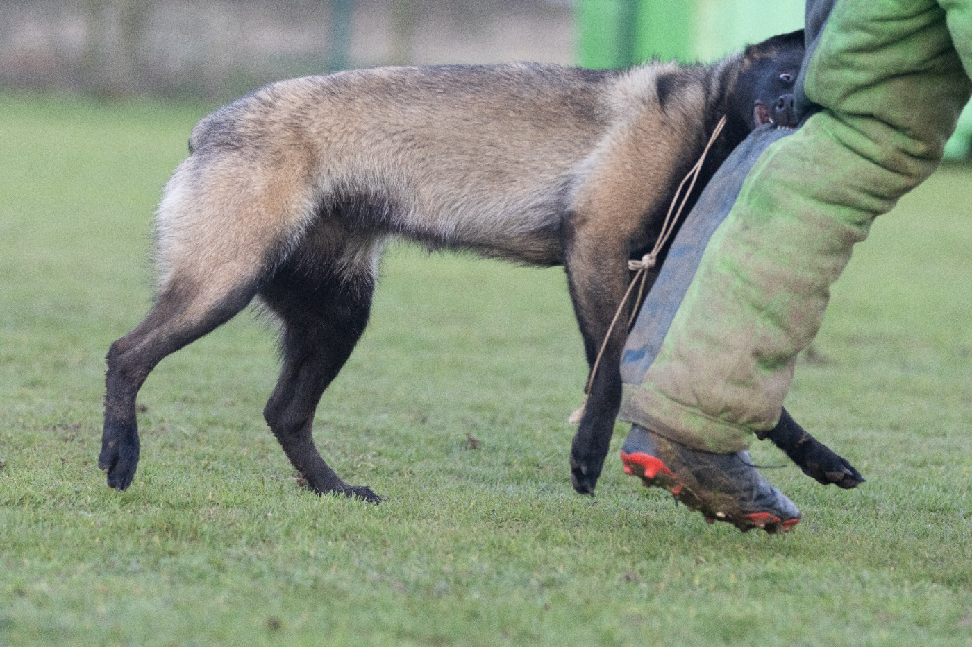 Apocalypse De L'Odyssée D'Hèra