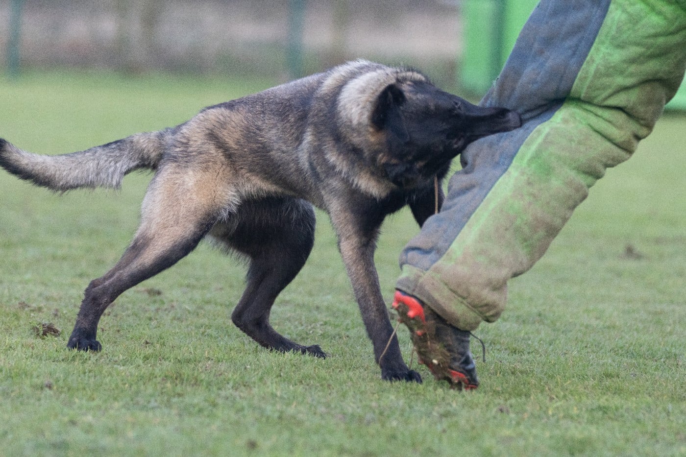 Apocalypse De L'Odyssée D'Hèra
