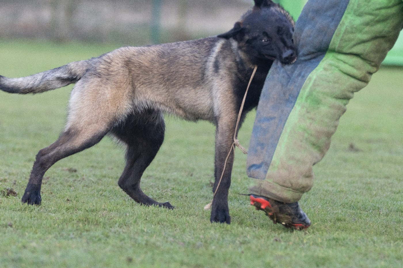 Apocalypse De L'Odyssée D'Hèra