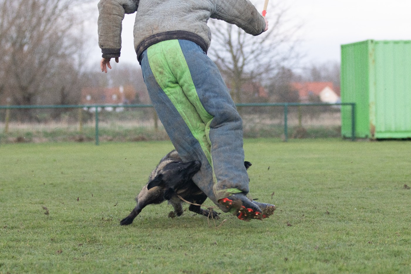Apocalypse De L'Odyssée D'Hèra