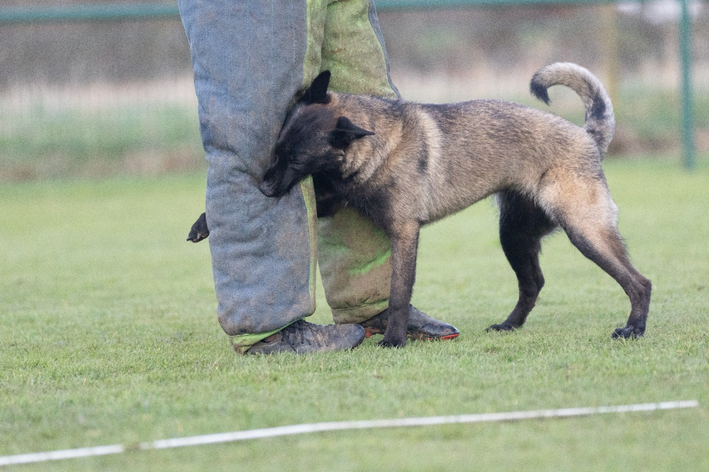 Apocalypse De L'Odyssée D'Hèra