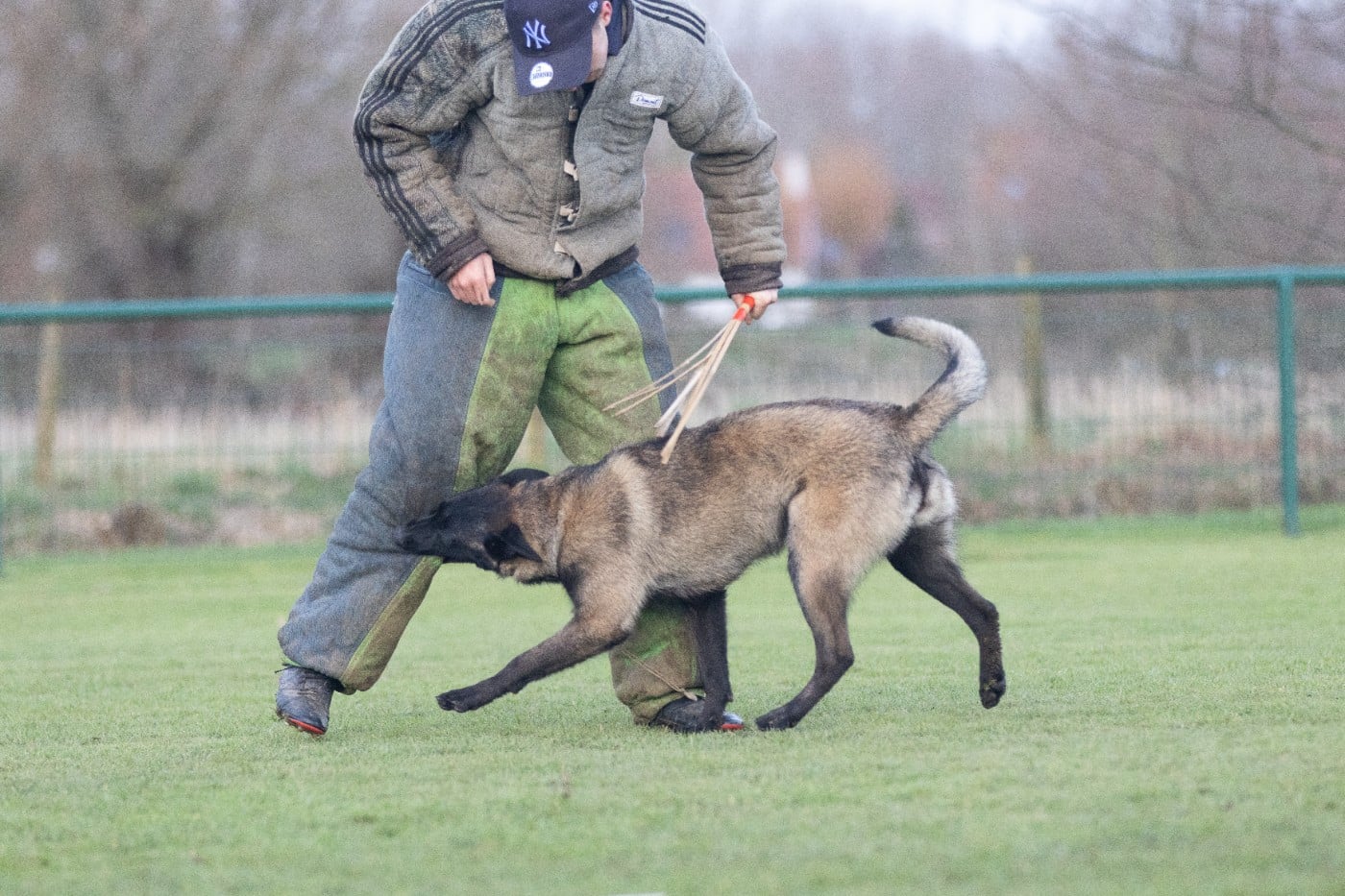 Apocalypse De L'Odyssée D'Hèra